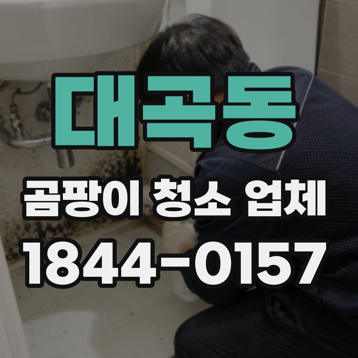 대곡동 곰팡이 청소 업체