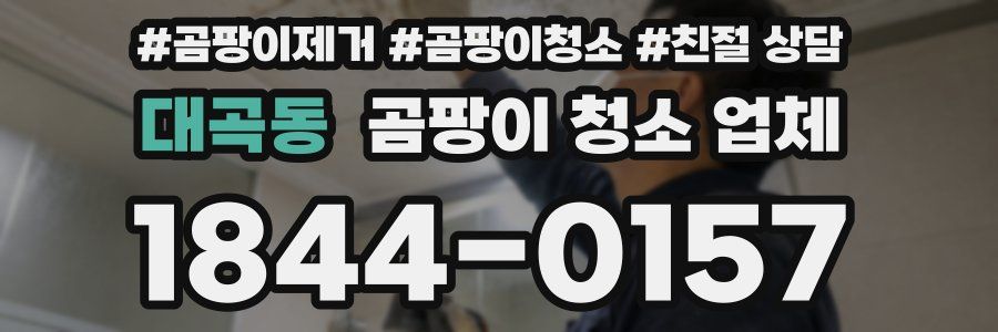 대곡동 곰팡이 청소 업체