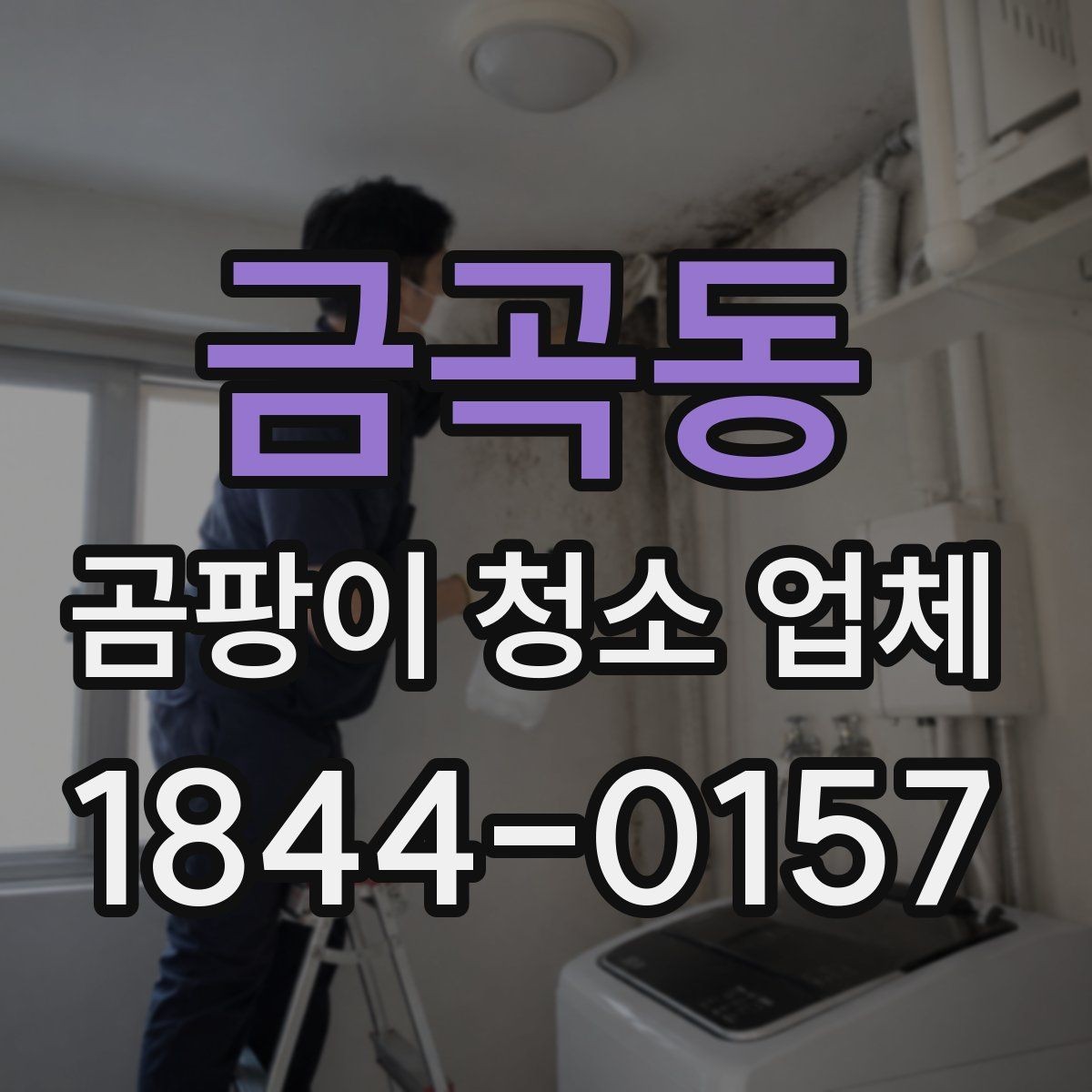 금곡동 곰팡이 청소 업체 선택 전 상담 품질 확인하기