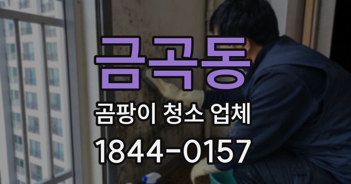 금곡동 곰팡이 청소 업체