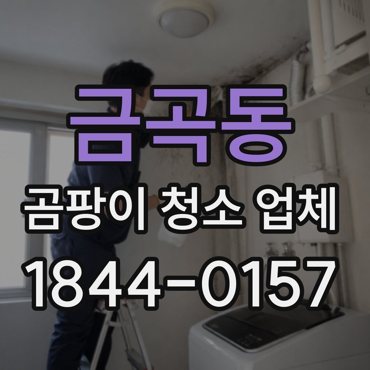 금곡동 곰팡이 청소 업체