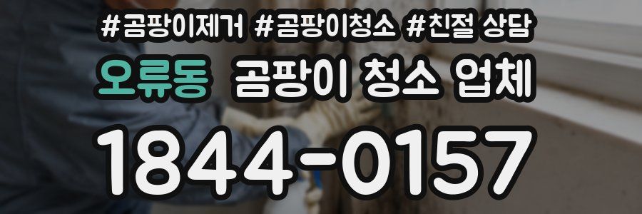 오류동 곰팡이 청소 업체