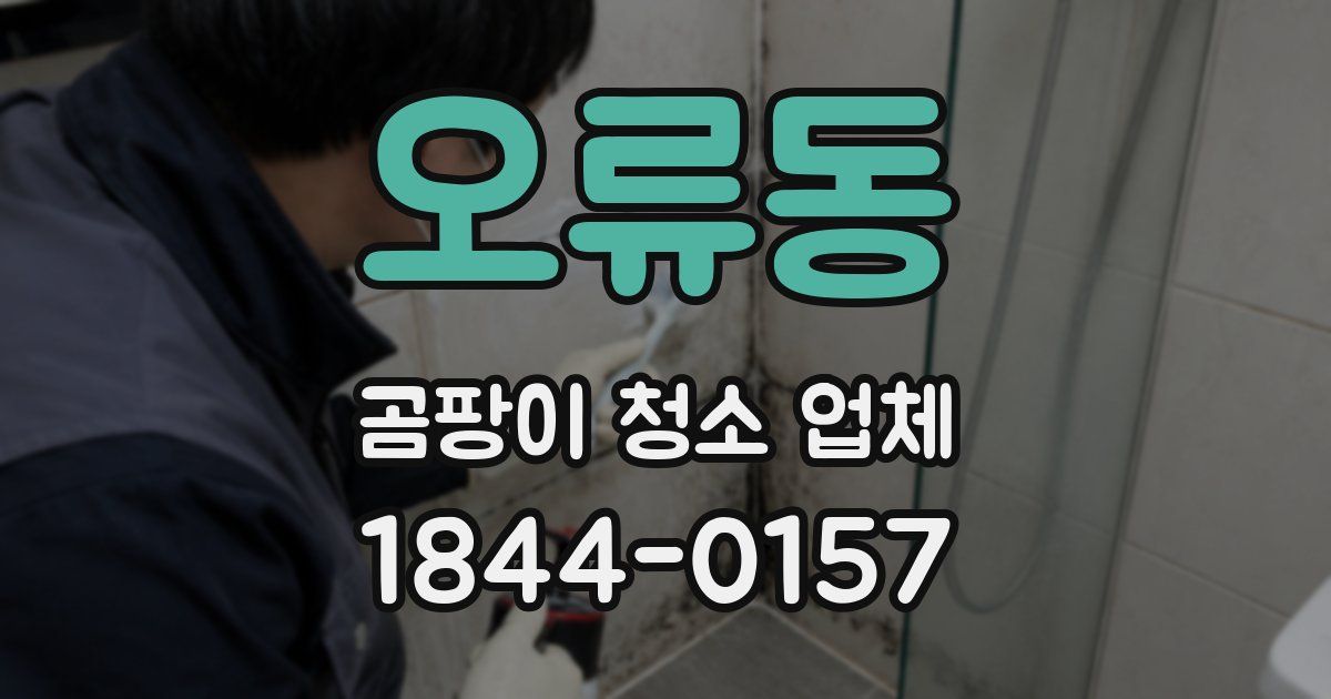 오류동 곰팡이 청소 업체