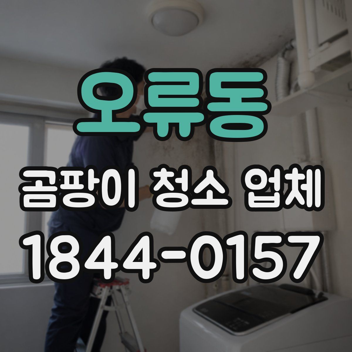 오류동 곰팡이 청소 업체