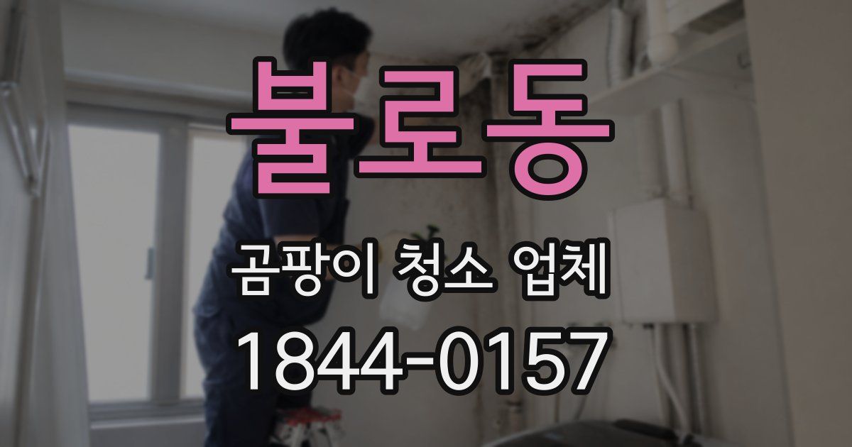 불로동 곰팡이 청소 업체