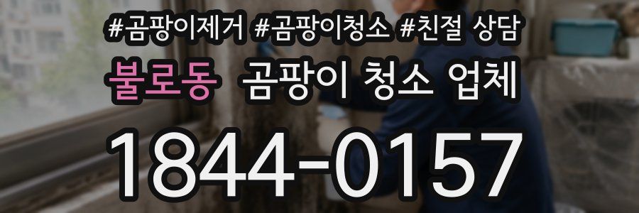 불로동 곰팡이 청소 업체