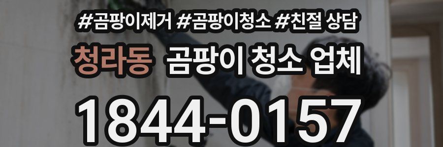 청라동 곰팡이 청소 업체