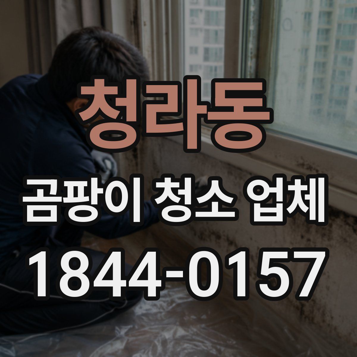 청라동 곰팡이 청소 업체