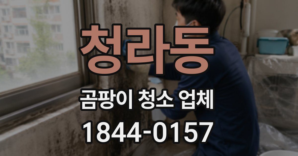 청라동 곰팡이 청소 업체