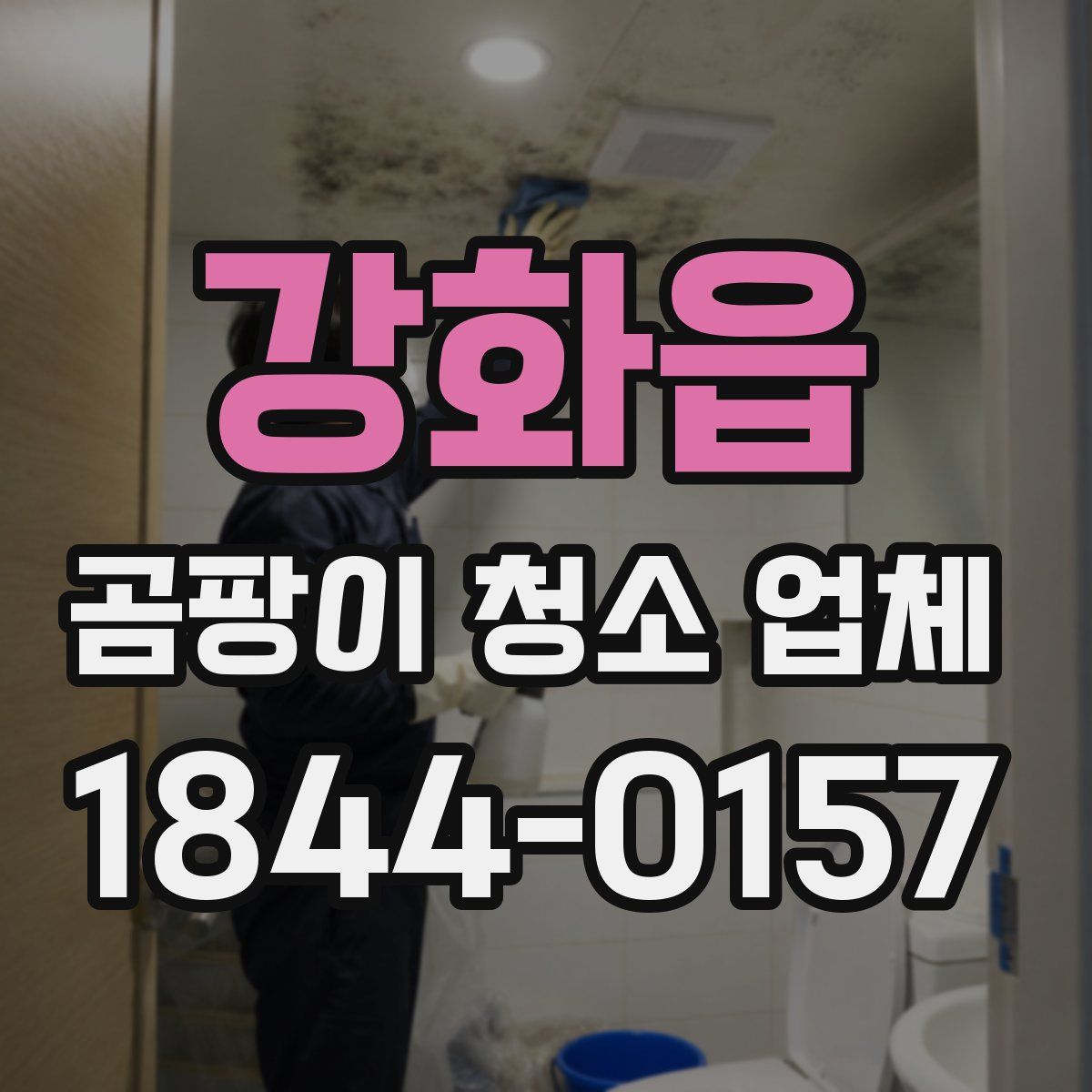 강화읍 곰팡이 청소 업체