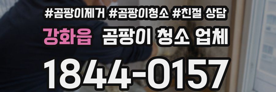 강화읍 곰팡이 청소 업체