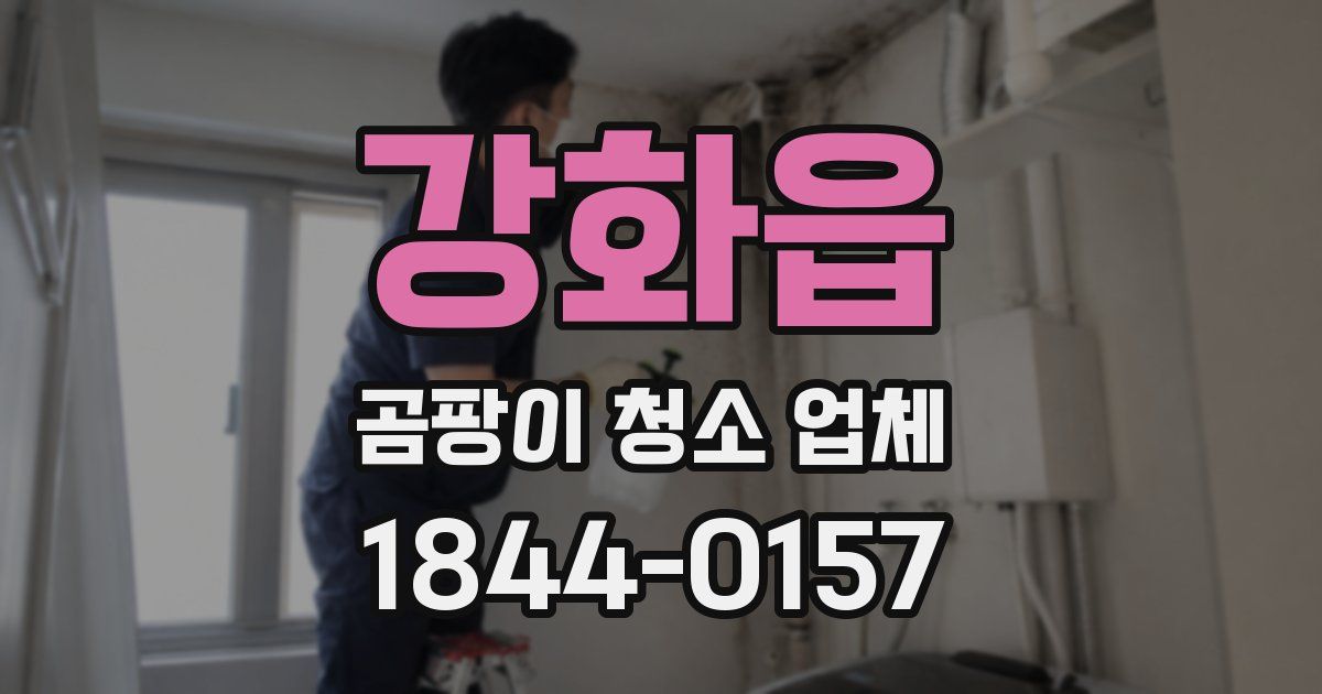 강화읍 곰팡이 청소 업체