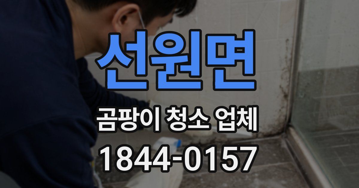 선원면 곰팡이 청소 업체