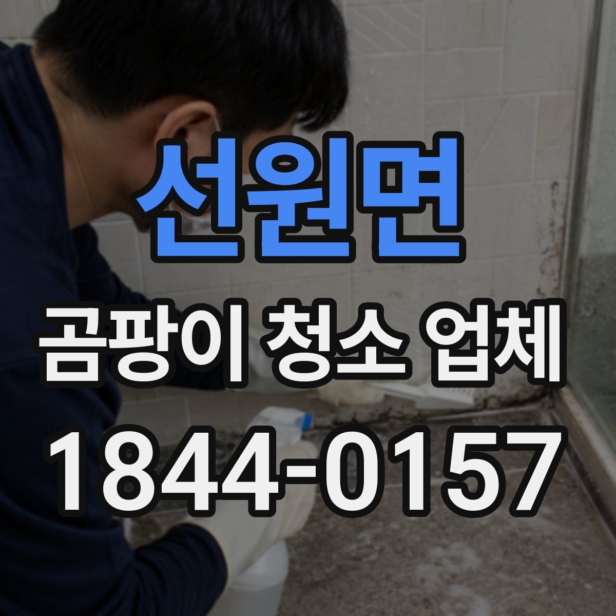 선원면 곰팡이 청소 업체