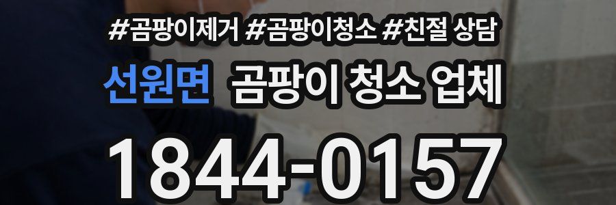 선원면 곰팡이 청소 업체