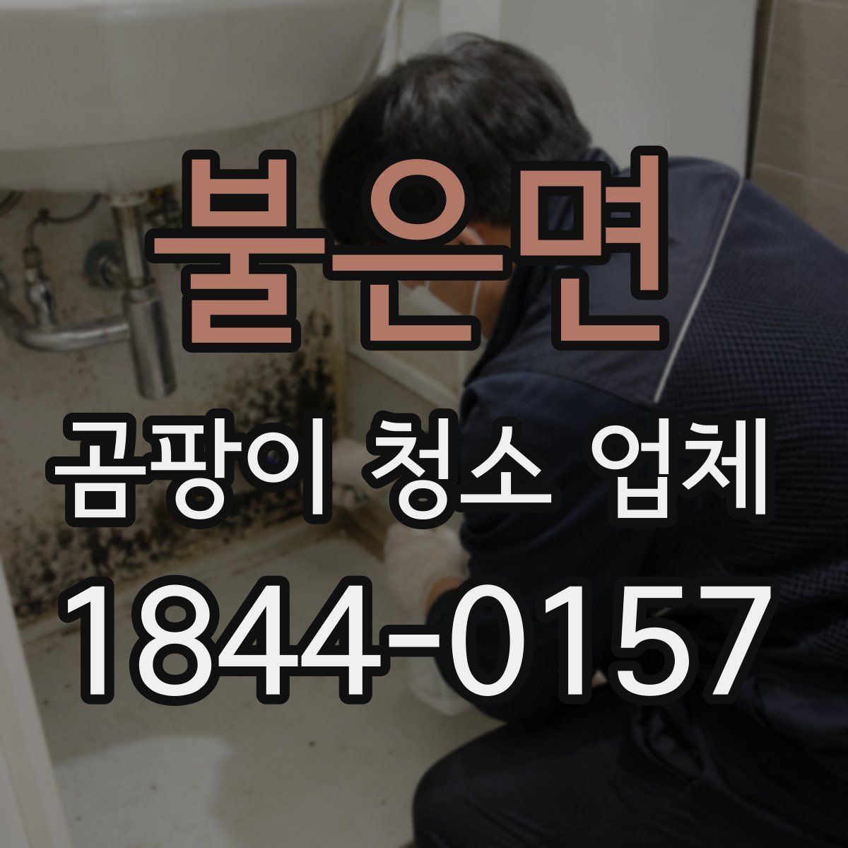 불은면 곰팡이 청소 업체