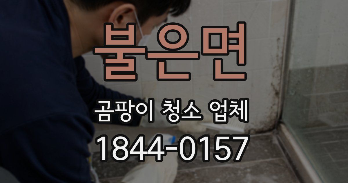 불은면 곰팡이 청소 업체