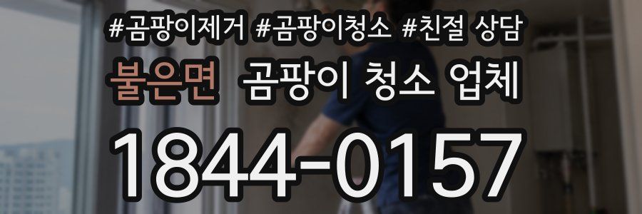 불은면 곰팡이 청소 업체
