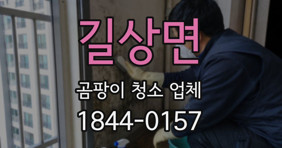 길상면 곰팡이 청소 업체