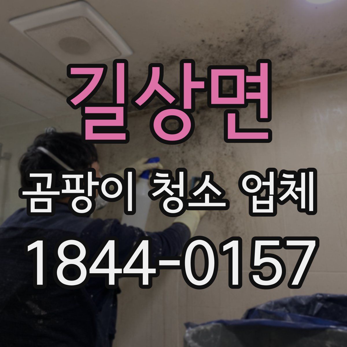 길상면 곰팡이 청소 업체