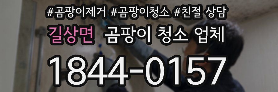 길상면 곰팡이 청소 업체