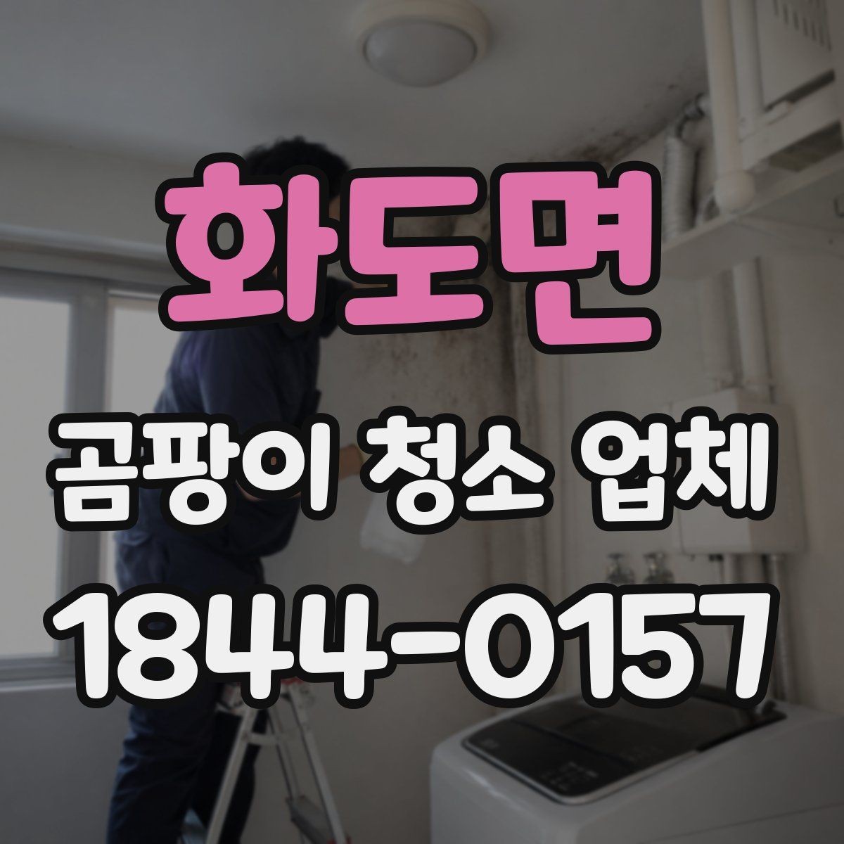 화도면 곰팡이 청소 업체 선택 전 계약 조건 살펴보기