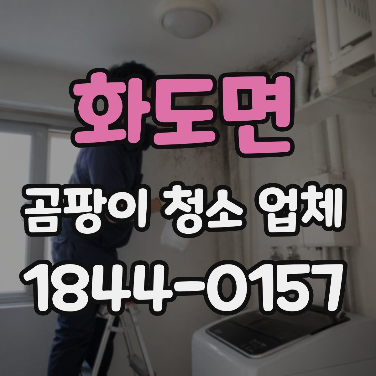 화도면 곰팡이 청소 업체