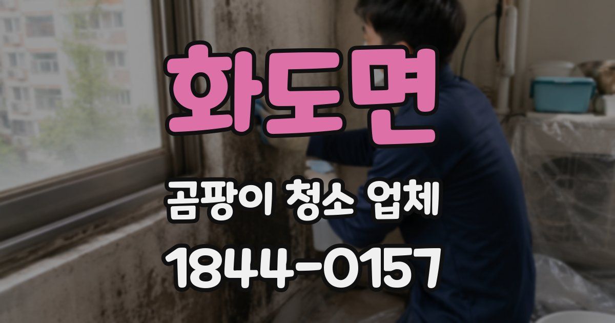 화도면 곰팡이 청소 업체