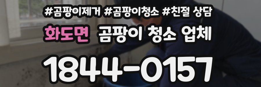 화도면 곰팡이 청소 업체