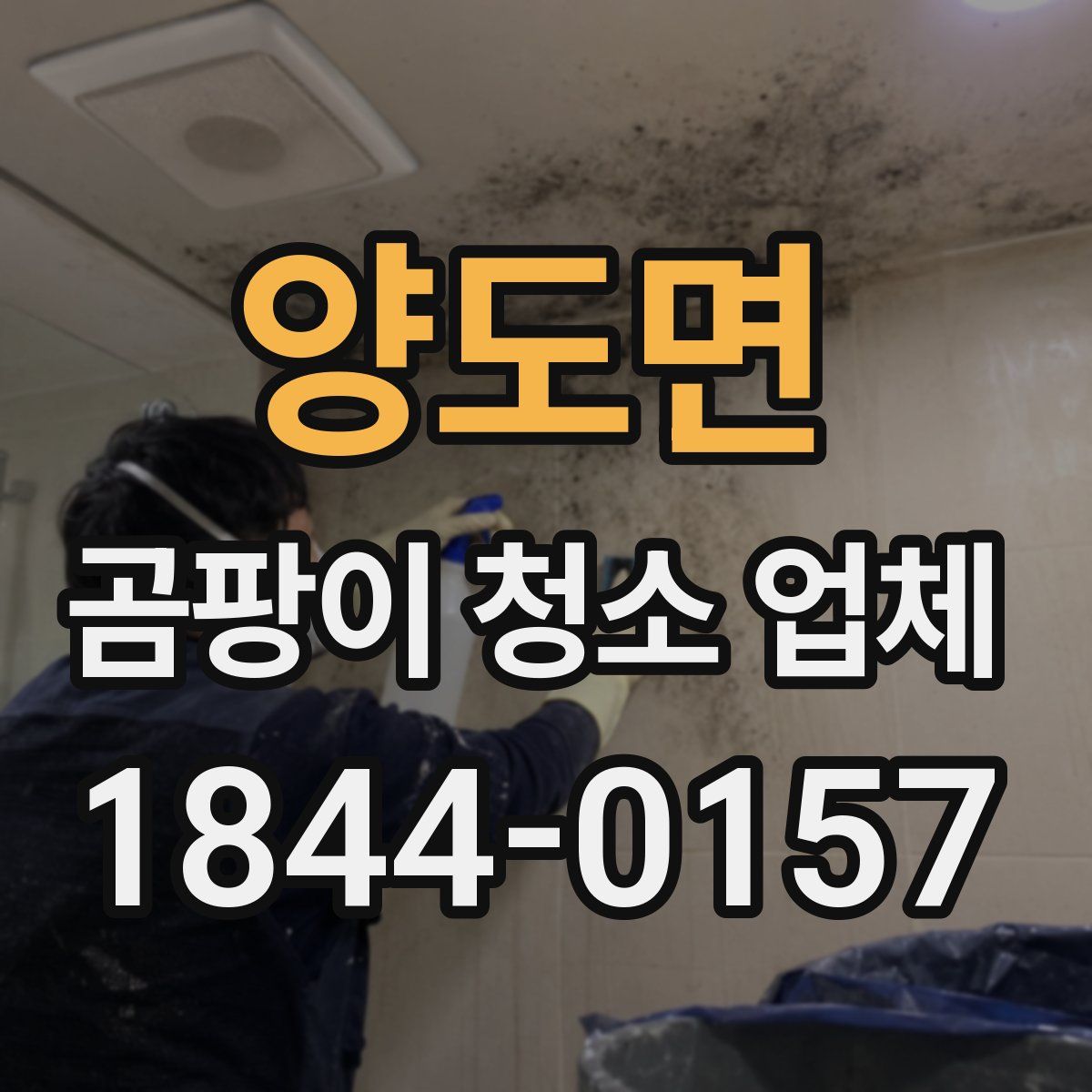 양도면 곰팡이 청소 업체