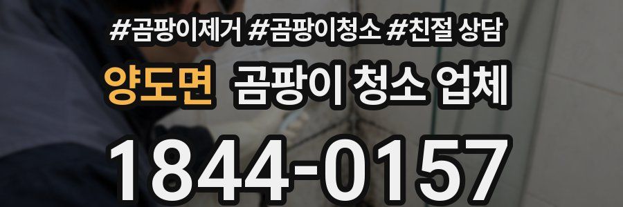 양도면 곰팡이 청소 업체