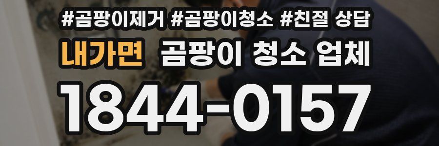 내가면 곰팡이 청소 업체