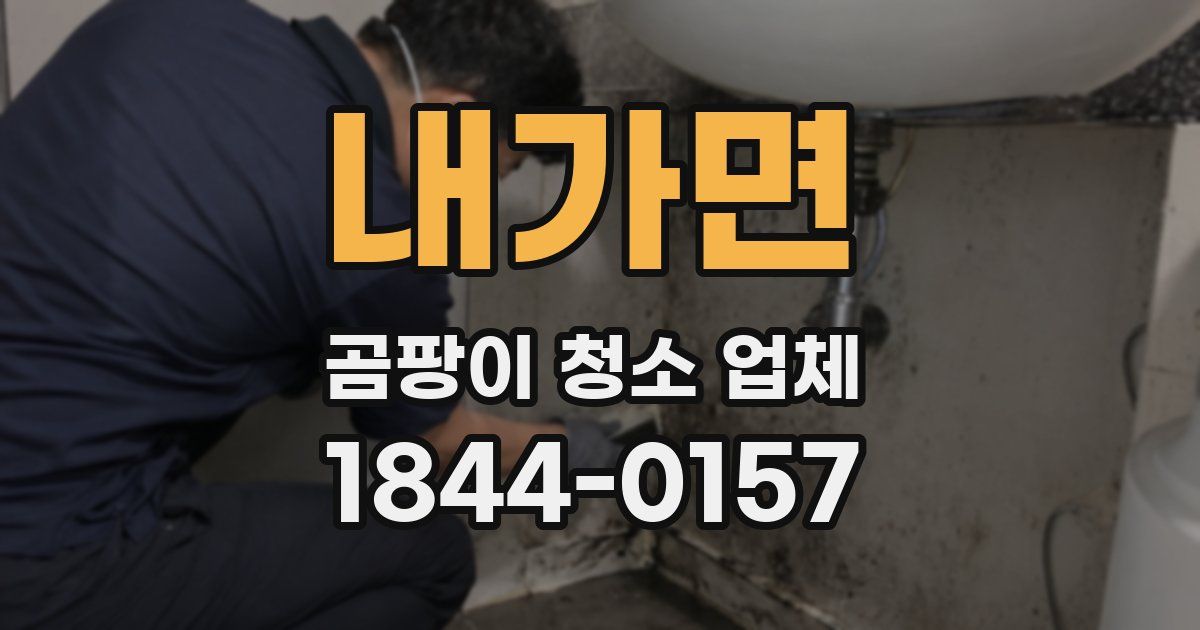 내가면 곰팡이 청소 업체