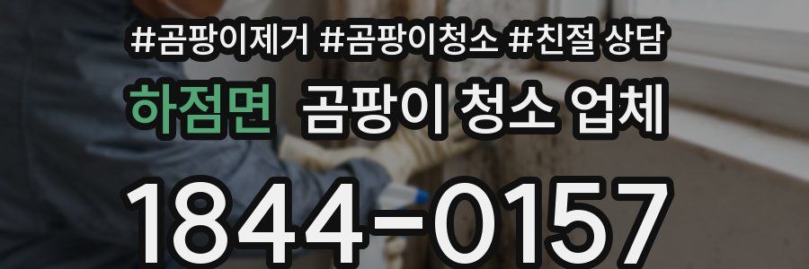 하점면 곰팡이 청소 업체