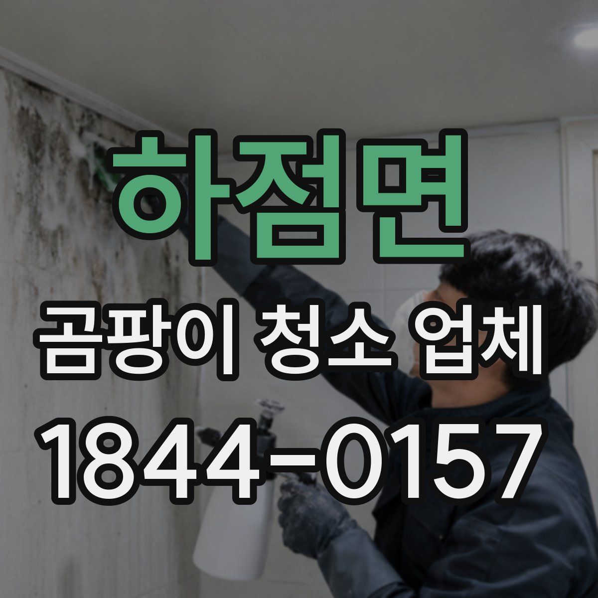 하점면 곰팡이 청소 업체