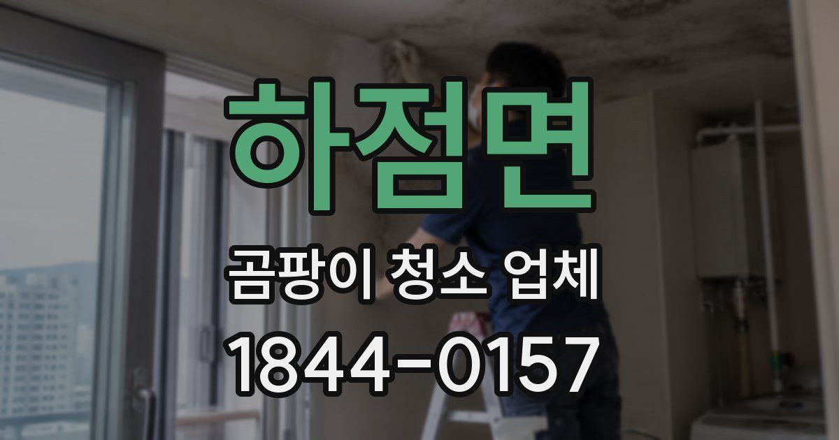 하점면 곰팡이 청소 업체
