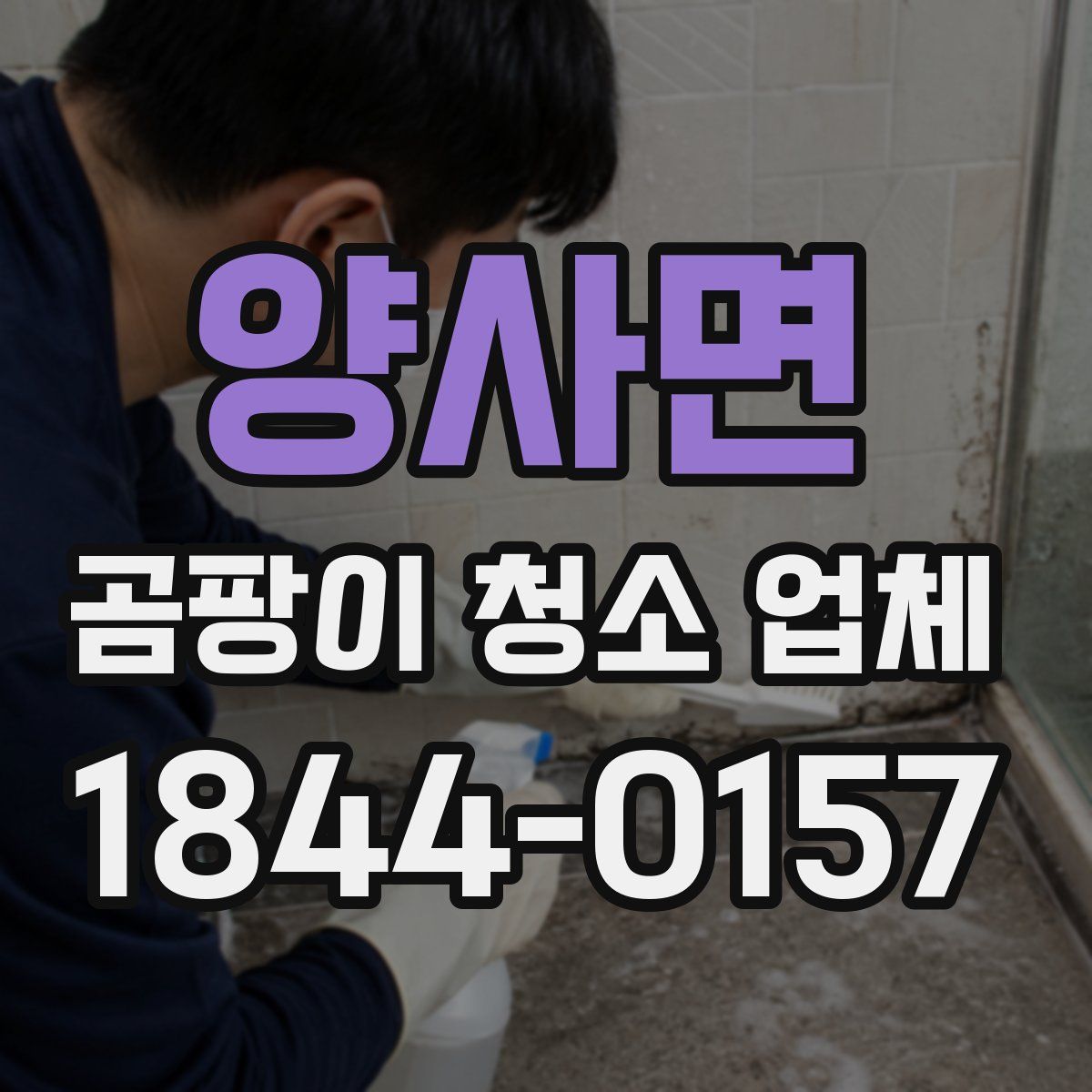 양사면 곰팡이 청소 업체