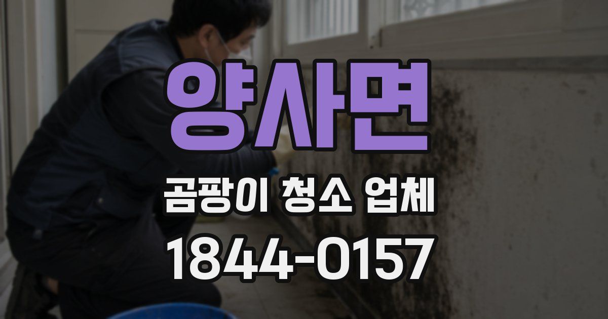 양사면 곰팡이 청소 업체