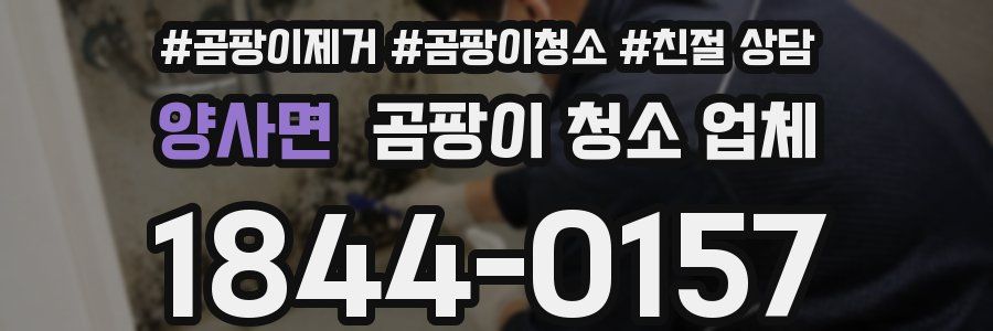 양사면 곰팡이 청소 업체