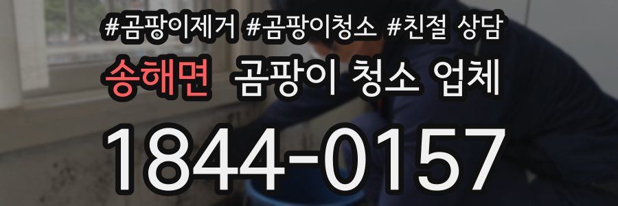 송해면 곰팡이 청소 업체