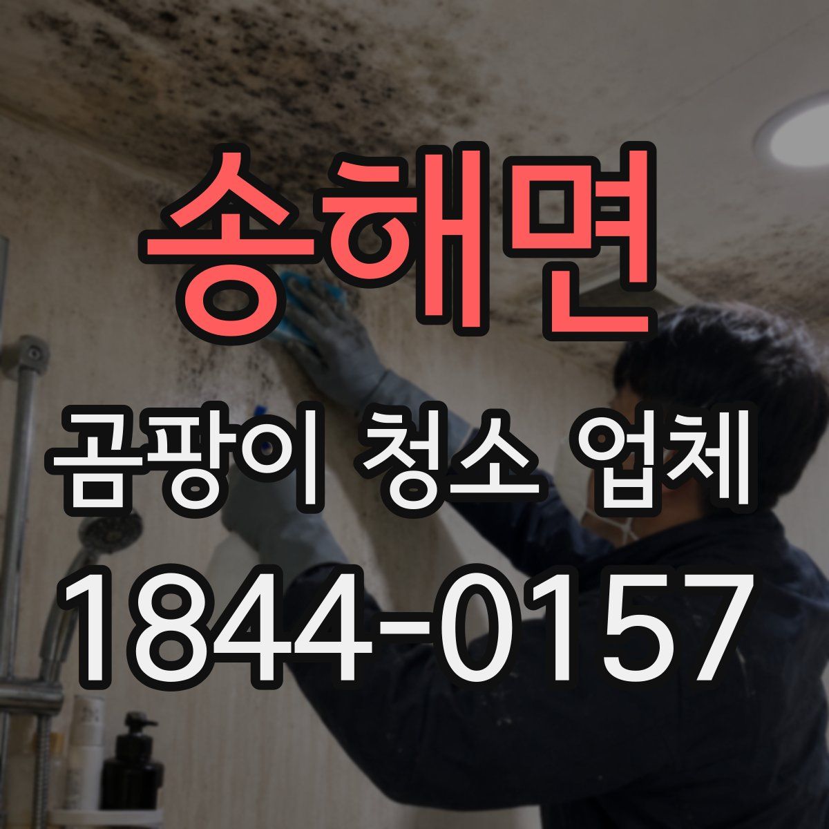 송해면 곰팡이 청소 업체