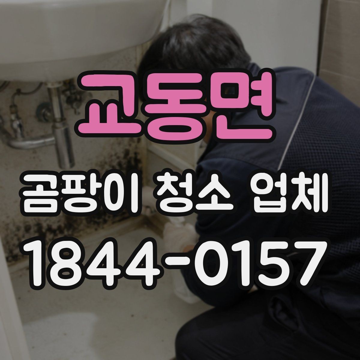 교동면 곰팡이 청소 업체 예약할 때 확인할 일정 정보