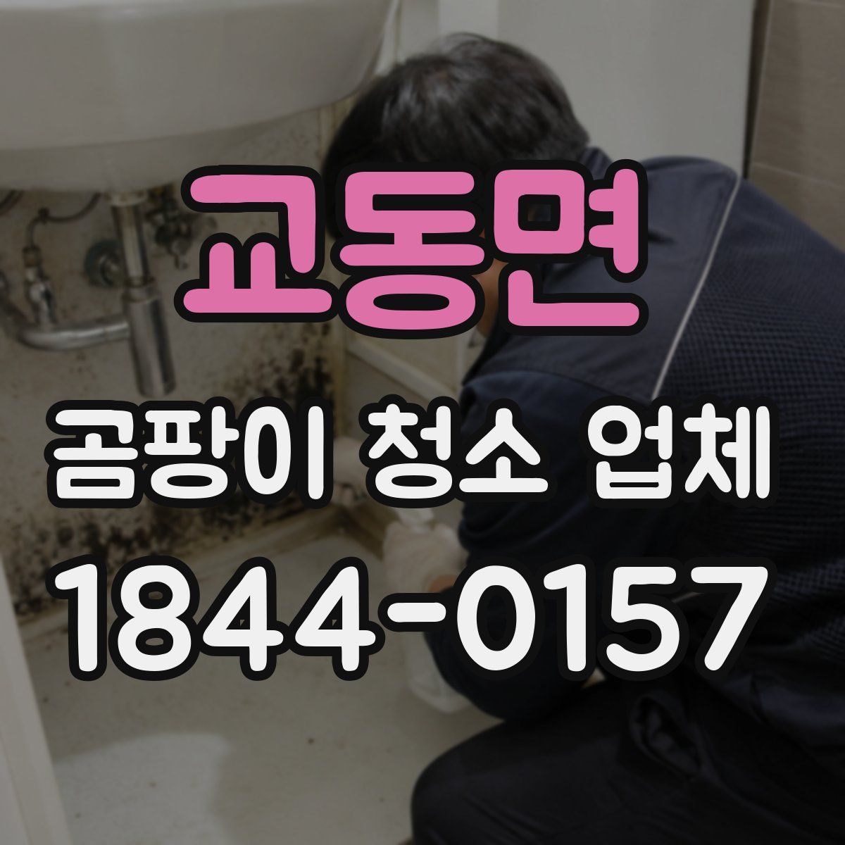 교동면 곰팡이 청소 업체