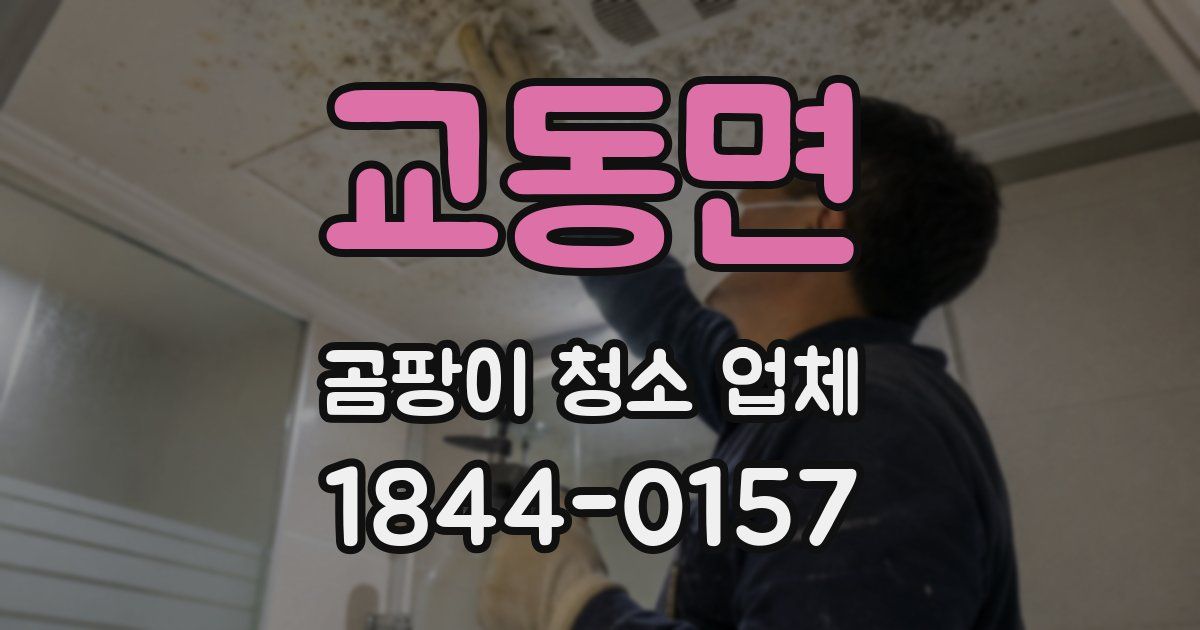 교동면 곰팡이 청소 업체