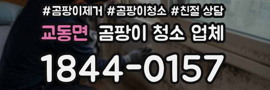 교동면 곰팡이 청소 업체