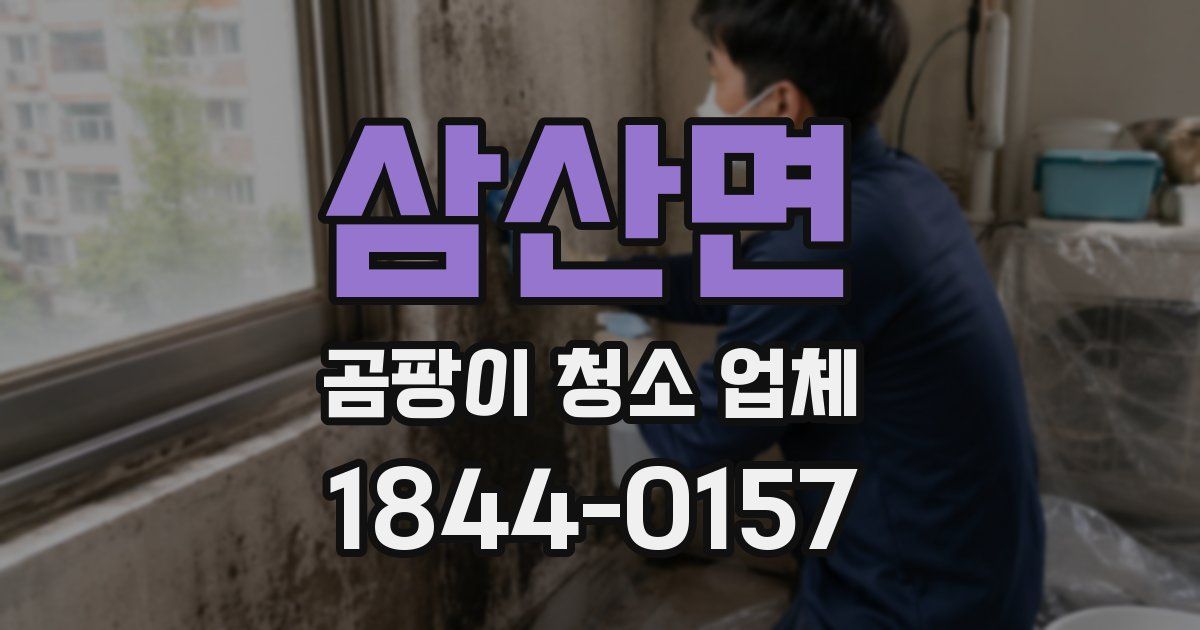 삼산면 곰팡이 청소 업체