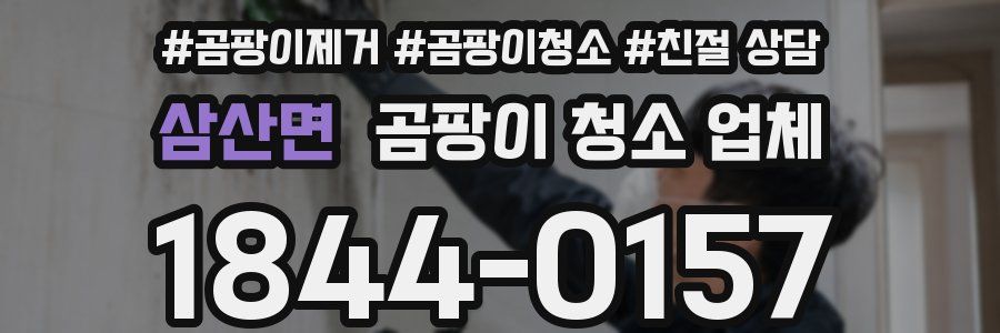 삼산면 곰팡이 청소 업체