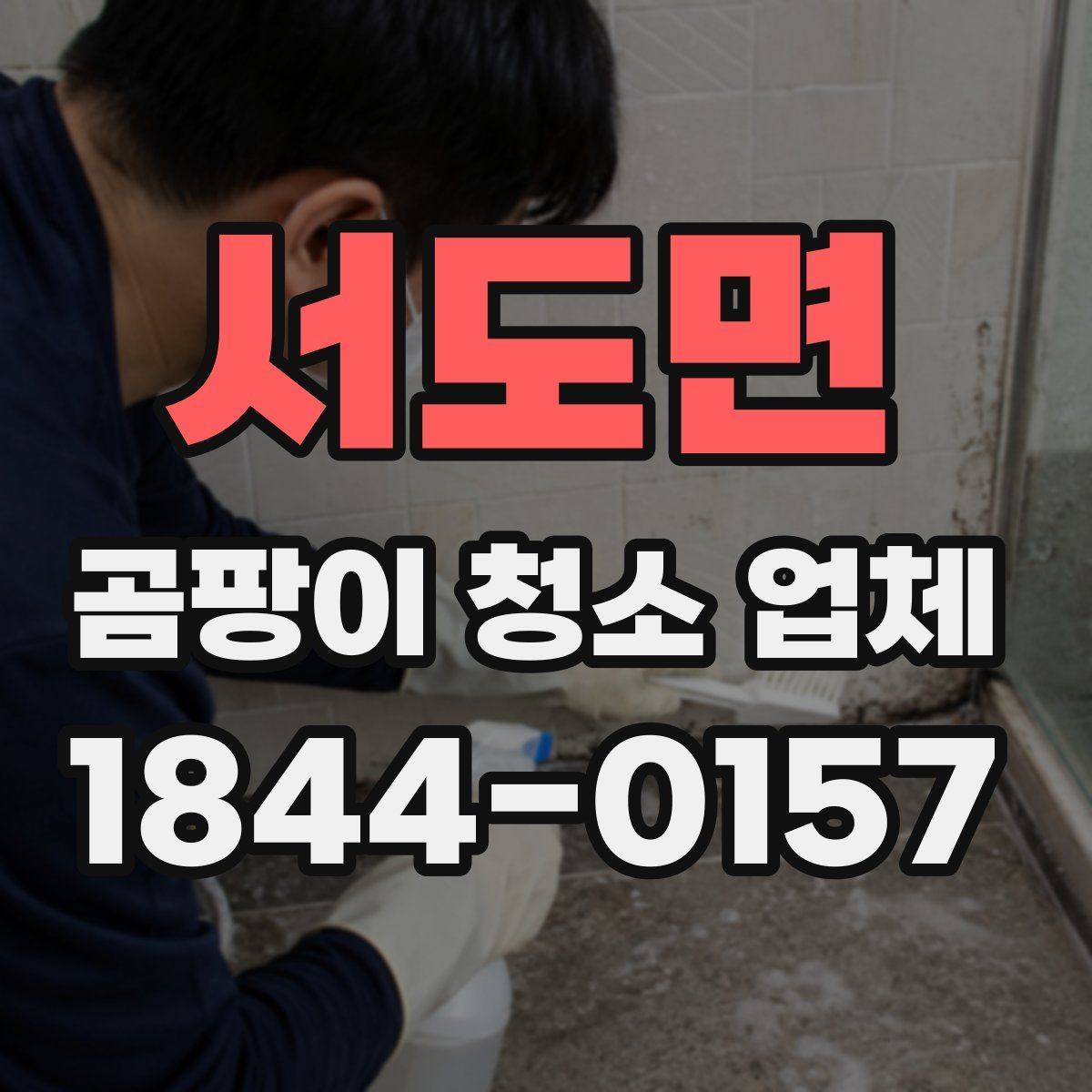 서도면 곰팡이 청소 업체
