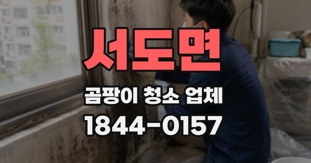 서도면 곰팡이 청소 업체