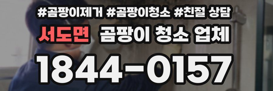 서도면 곰팡이 청소 업체